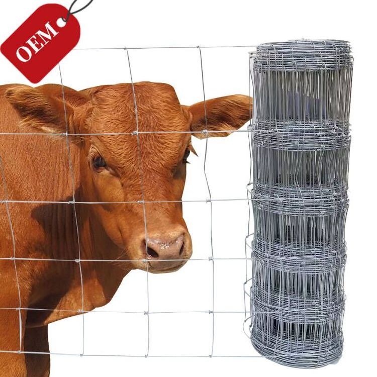 Fixed knot woven wire field fence roll goat hog fencing wire mesh Galvanized Sheep cattle game wire Farm Fence