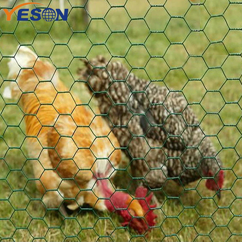 PVC coated poultry hex wire mesh netting direct factory