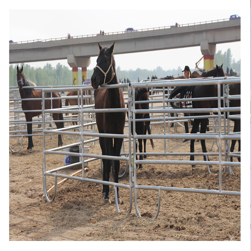 wholesale portable cheap livestock horse used galvanized 12 ft bulk livestock cattle yard corral fence sheep and goat panel