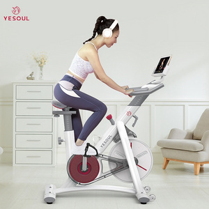 YESOUL S3 Bluetooth exercise bike Exercise Trainer Home Training exercise bike sale