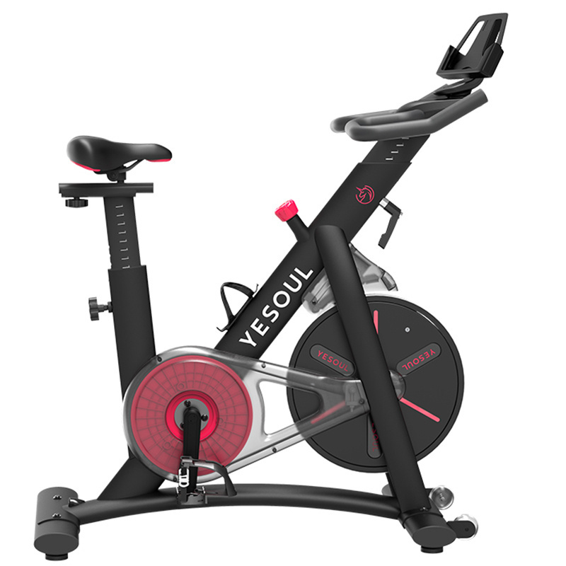 Yesoul S3 Exercise Bike Home Stationary Bike with Magnetic Resistance Comfortable Seat Cushion Silent Belt Drive Heavy Flywheel