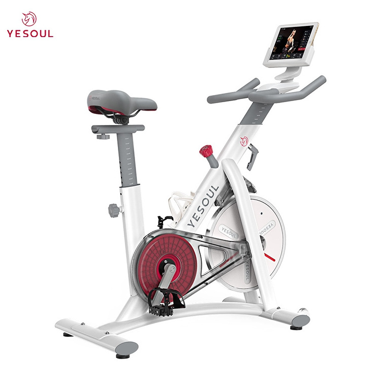 YESOUL S3 Bluetooth exercise bike Exercise Trainer Home Training exercise bike sale