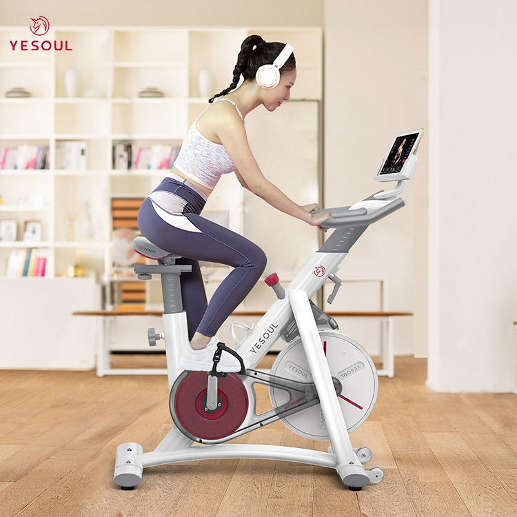 YESOUL S3 Bluetooth exercise bike Exercise Trainer Home Training exercise bike sale