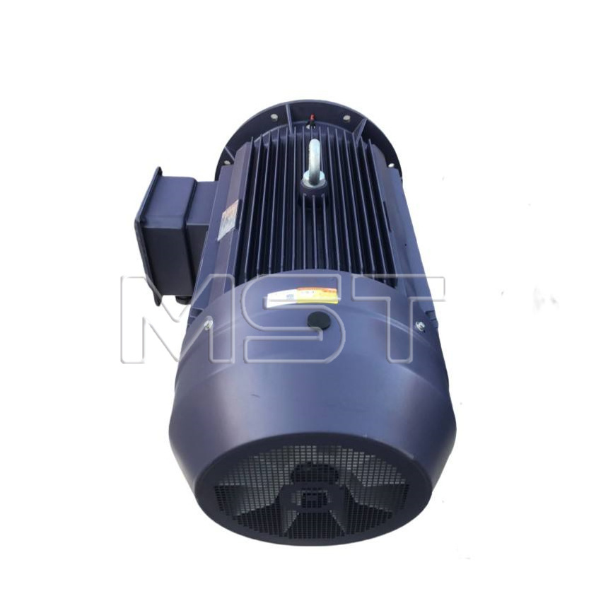 IE3 Quality 20 Hp Three Phase Electric Motor Asynchronous Three Phase Induction Electric Low Voltage AC Motor