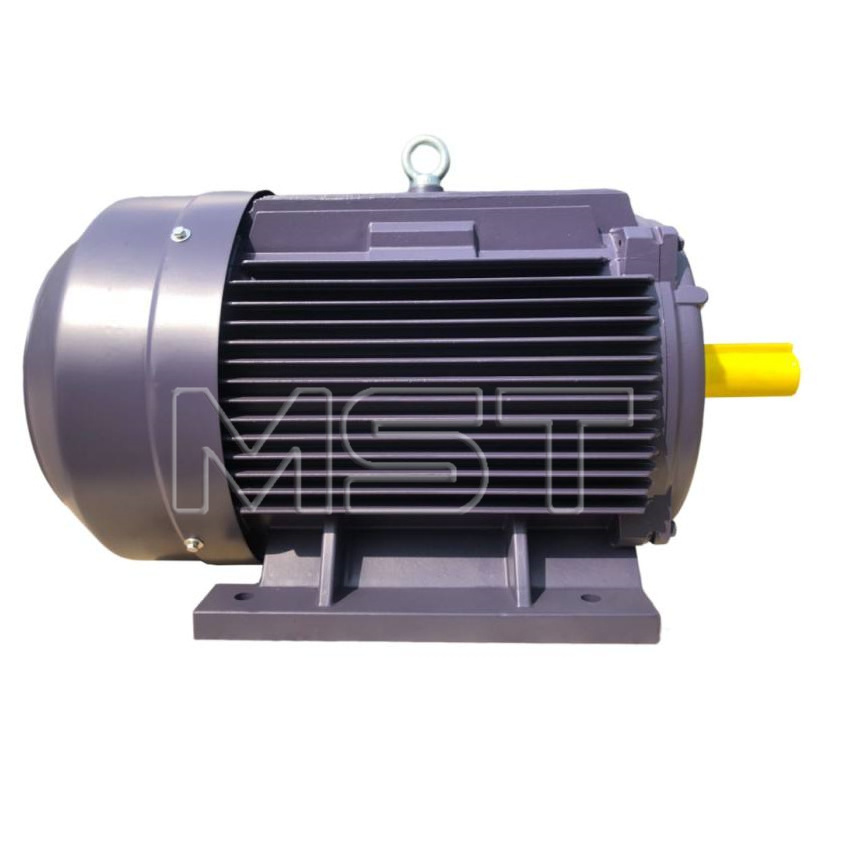 High Performance squirrel cage Three Phase asynchronous AC Induction Industrial Electric Motor custom induct motor price