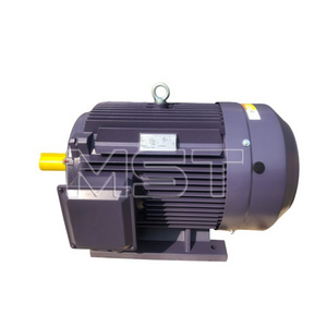 High Efficiency 3 Phase Asynchronous Electric Fan Motor For Ac Motor With Speed Controller