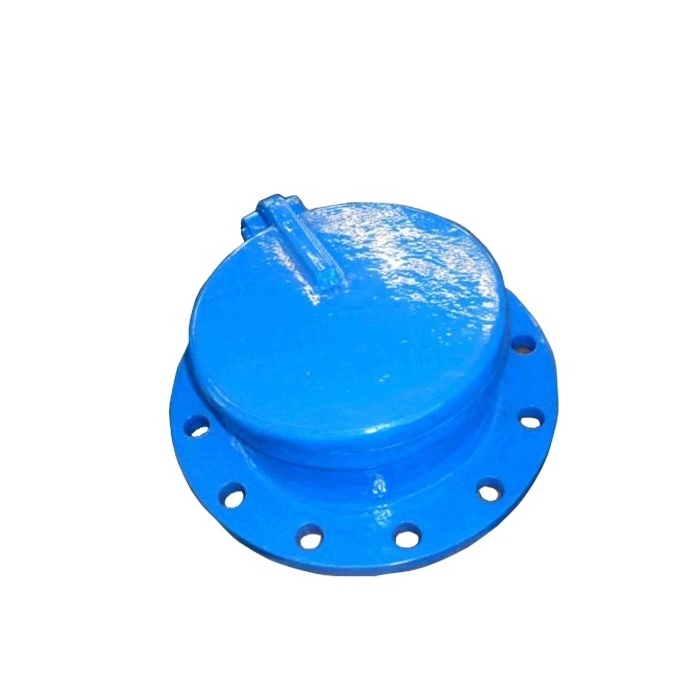 Single Flapper NRV Valve Seek Size 300nb Tilting Disc Check Valve Single Plate Wafer Check Valve According to API594