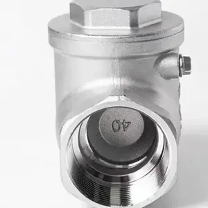 Thread End Swing Check Valve stainless steel check valve