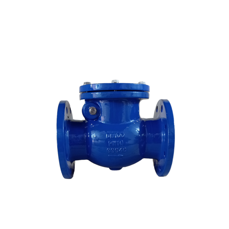 Water Wafer Check Valve Price DN50 ANSI Swing Check Valve Water Non Return Check Valve Price