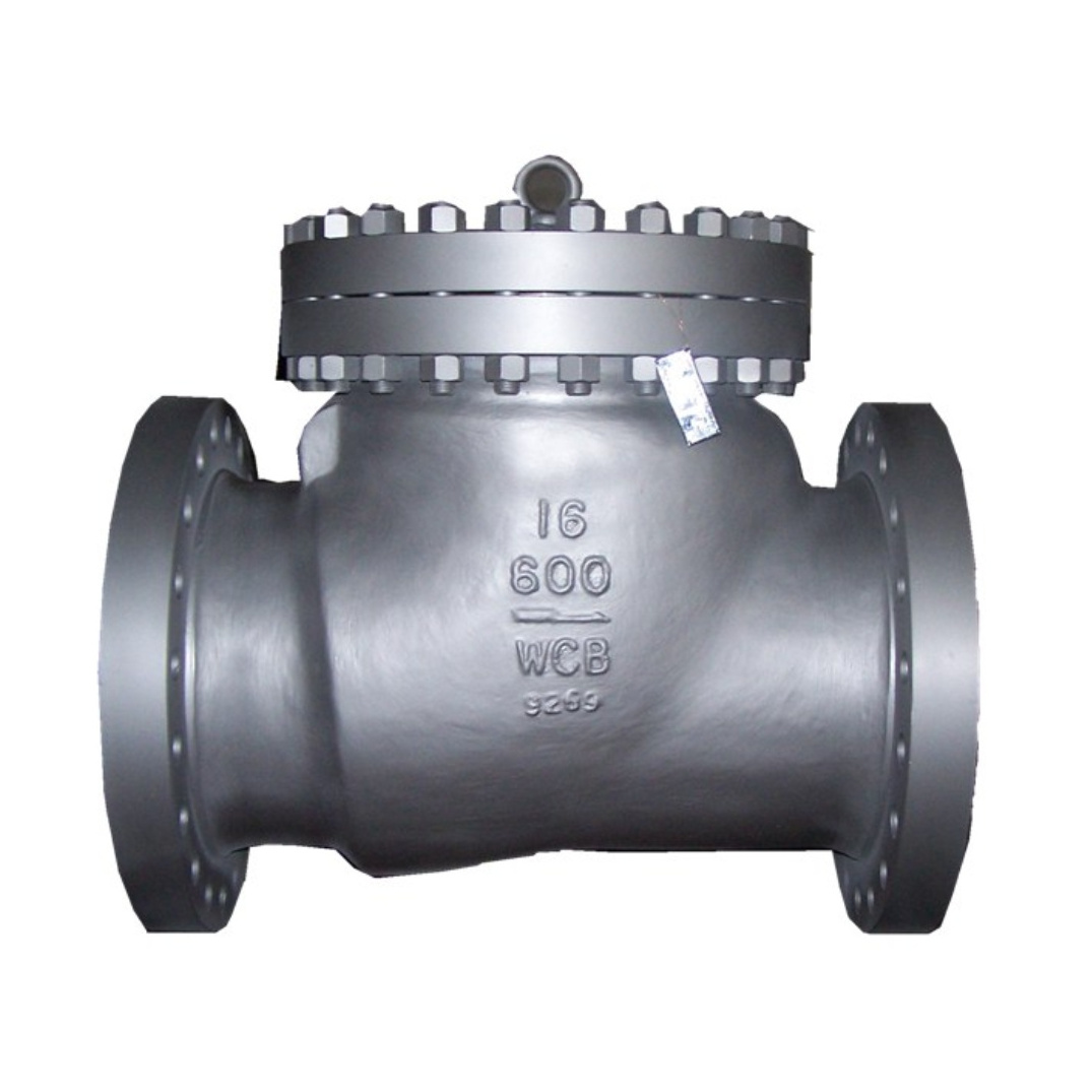 Water Wafer Check Valve Price DN50 ANSI Swing Check Valve Water Non Return Check Valve Price