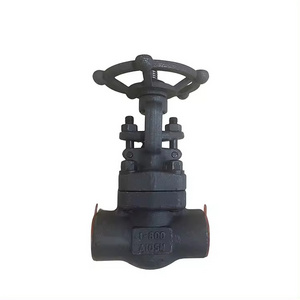 Z61Y Gate Valve Price 1'' A105 API Forged Steel Gate Valve Socket Weld SW Class 800lb NPT Threaded Flange End Global Valve