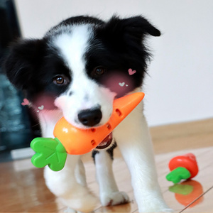 Squeaky Dog Toys for Aggressive Chewers 2 in 1 Dog Toy Carrot Toy for Dogs