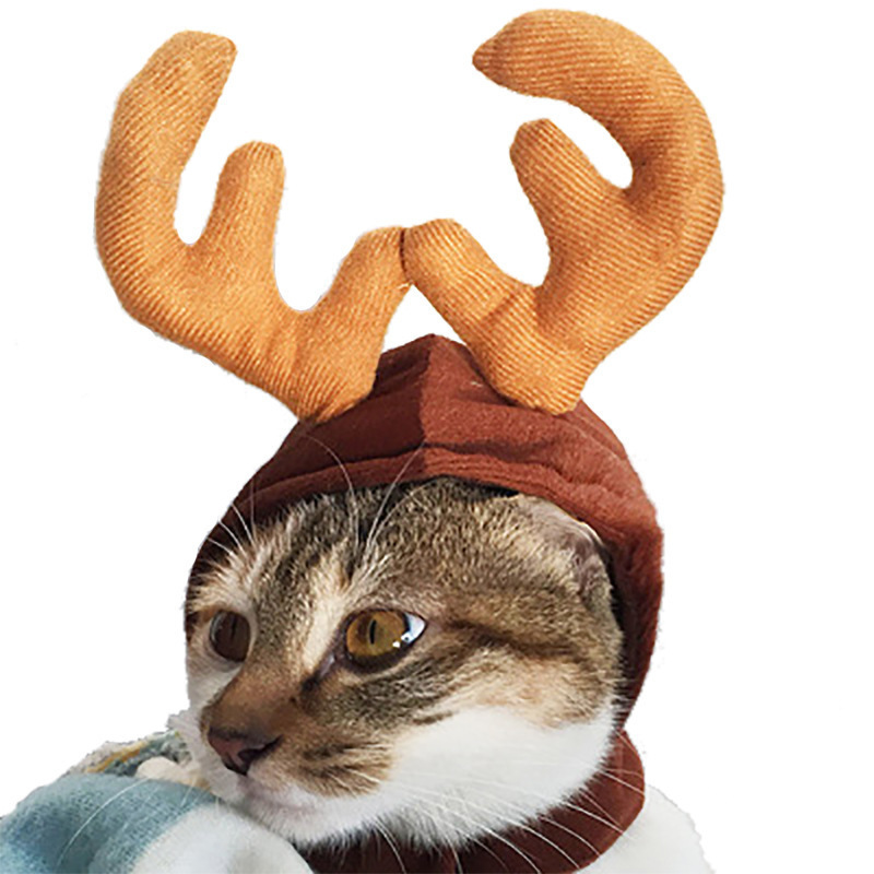 Pet Hat For Cats Animal Shape Personalized Costume Small Dog Accessories Winter Warm Headwear Kitten Cat Accessories