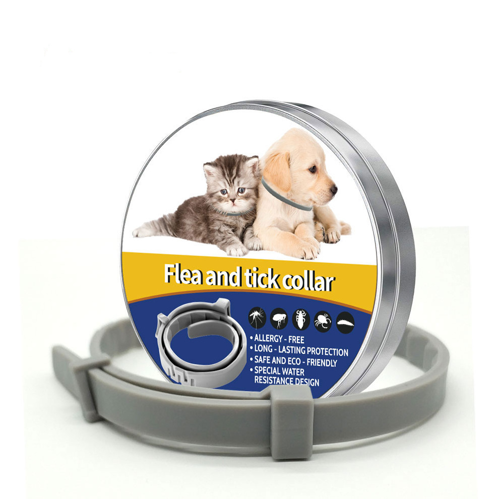 Top Sell 8 Months Protection silicone Pets Collar for Dogs and cats flea and tick collar