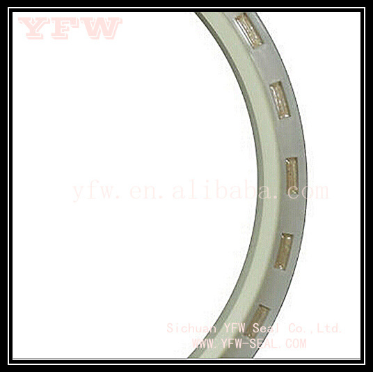 Hydraulic rod wiper seal