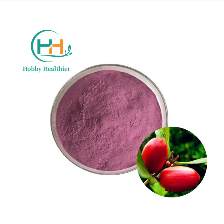 Wholesale 100% Natural Synsepalum Dulcificum Freeze Dried Miracle Berry Fruit Extract Miracle Berry Powder