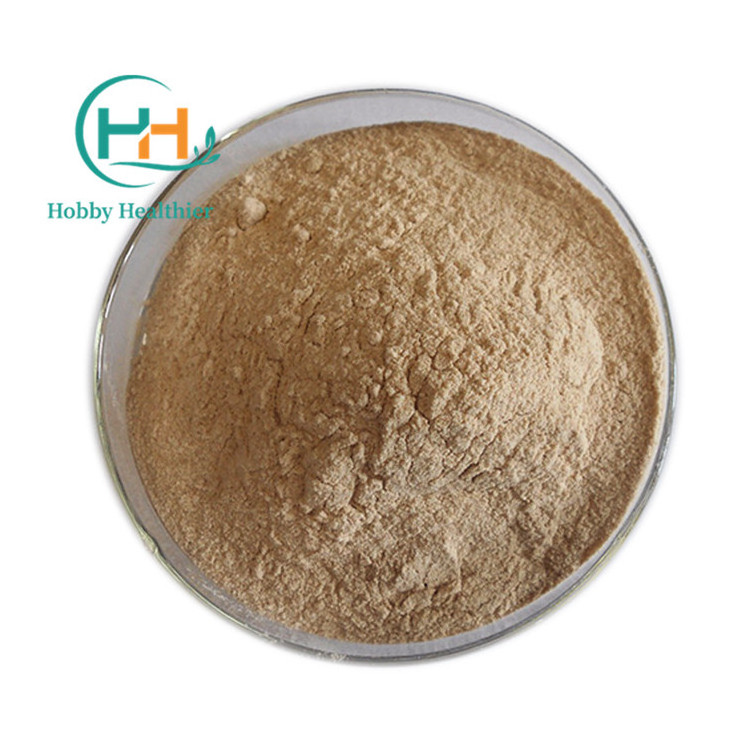 Wholesale Price Superb Poplar Mushroom Extract Agrocybe Aegerita Extract Tea Tree Mushroom Powder