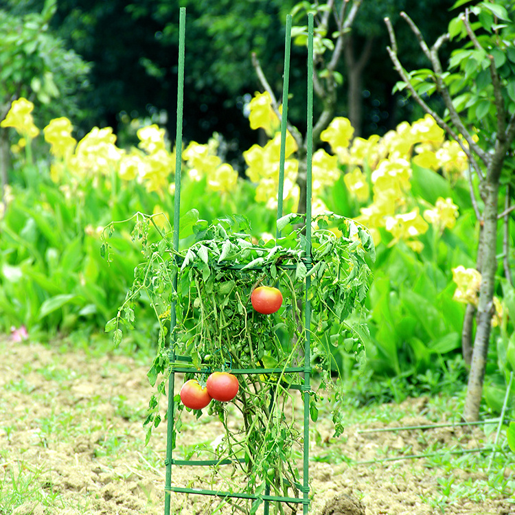 Plant Support Adjustable Tomato Wire Tomato Cages Square Folding Cage Stake