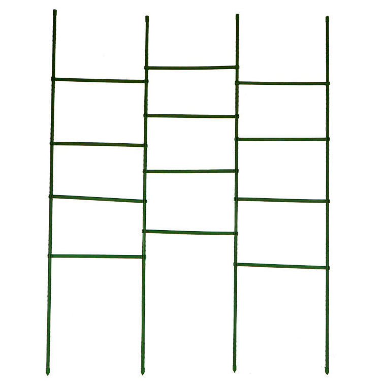 3 Rings 42 Inch Tomato Flower Support Garden Plant Stick Cage Assemble Collapsible Cages