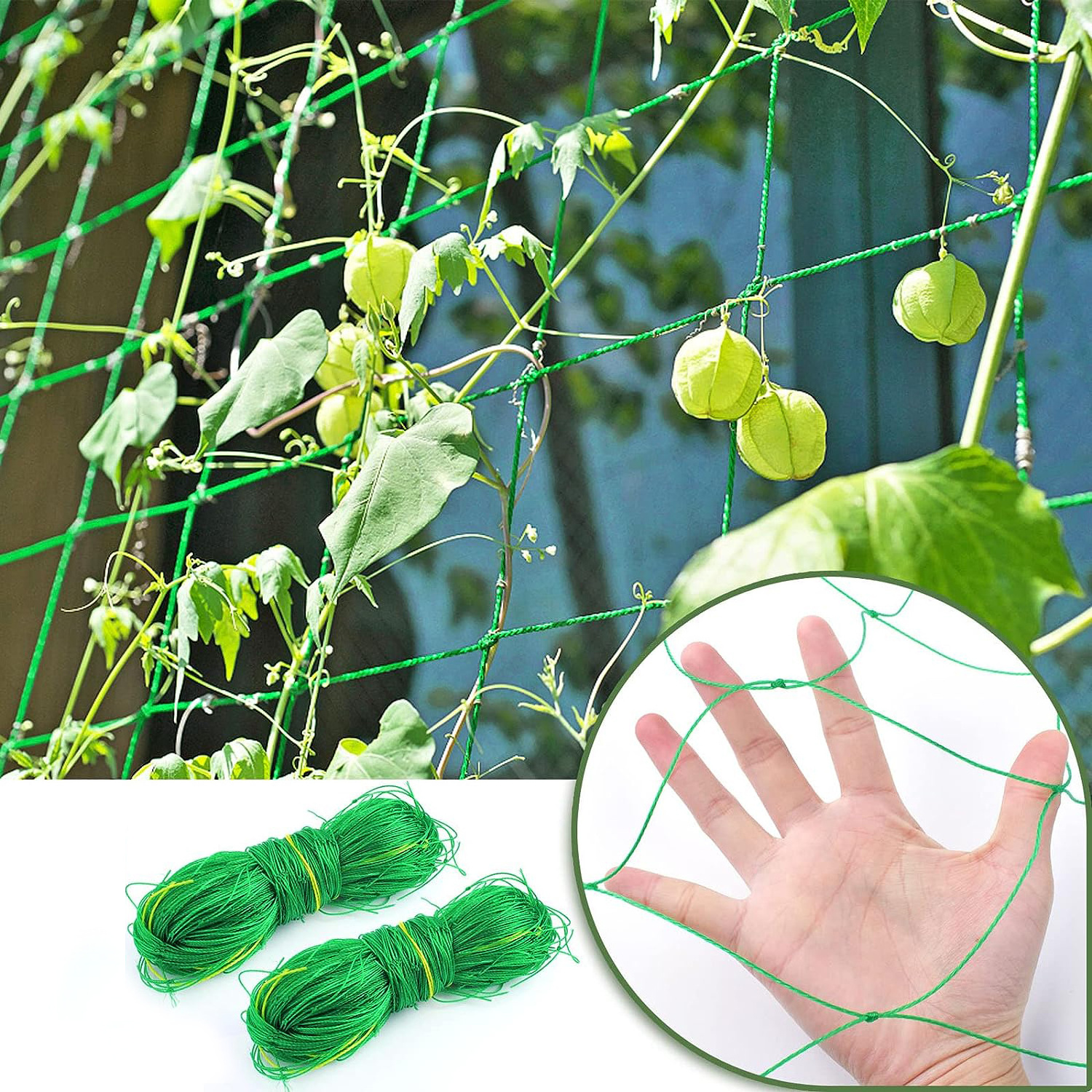 Garden net for tomato and cucumber climb