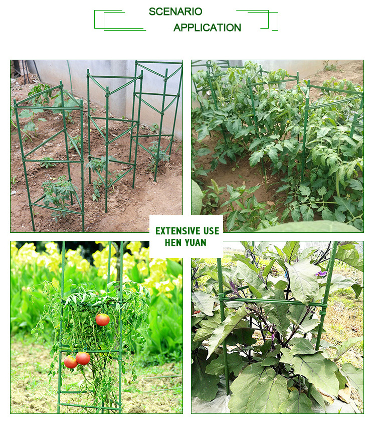 Factory Cheap Galvanized Tomato Cage Tomato Climber Plant Support