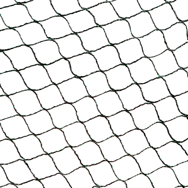 China Agricultural Bird Mist Nets Anti Bird Netting For Garden Catch Bird Mesh