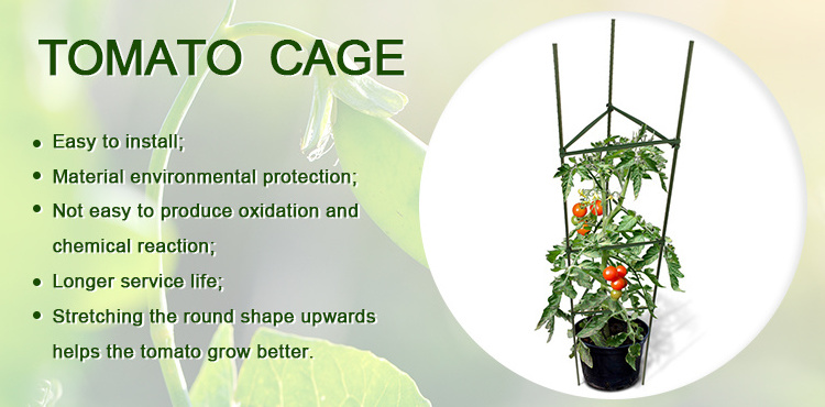 Factory Cheap Galvanized Tomato Cage Tomato Climber Plant Support