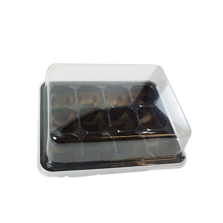 China Factory Price Planting Trays Seedling  Plastic Tree Seedling Trays Wholesale