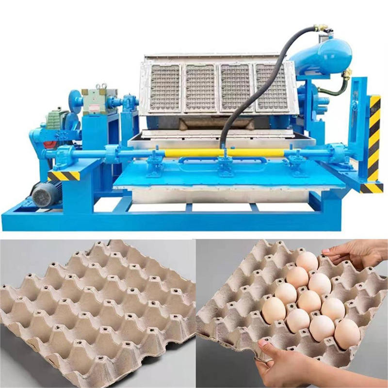 Automatic foam food box plate making machine egg tray dry pulp molding machine