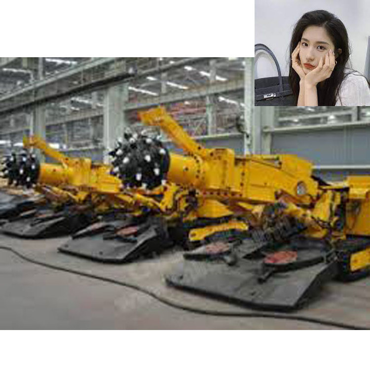 Small Mini Tunneling Roadheader Tunnel Boring Machine