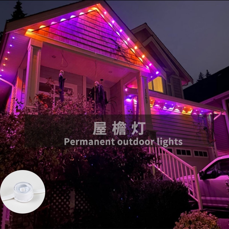 Smart RGBIC IP67 Waterproof Eaves Lights WiFi App Controlled Led Permanent Christmas Lights Outdoor for Roof Garden Decor