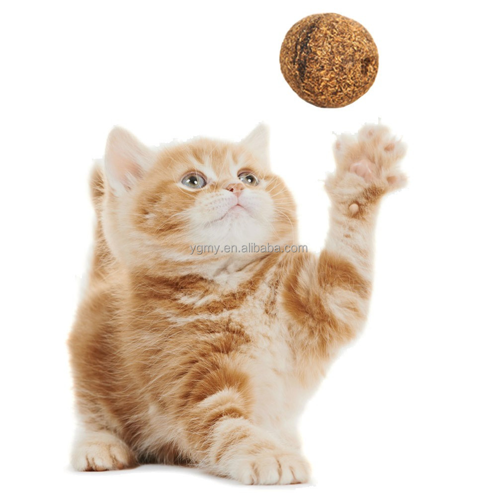 Pet Cat Natural Catnip Treat Ball Favor Home Chasing Toys Healthy Safe Edible Treating