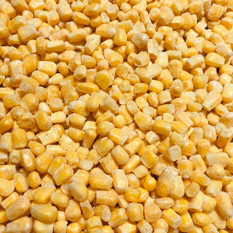 Freeze dried corn kernels iqf frozen bulk sweet yellow corn kernel price new crop iqf frozen blanched fresh corn