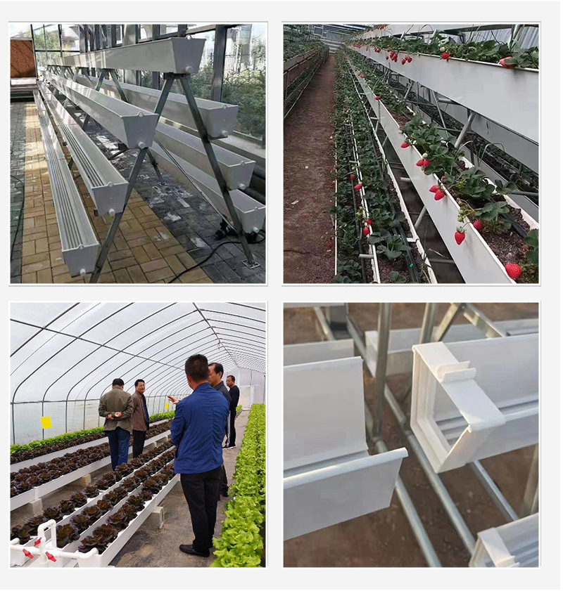 High Quality Hydroponic Growing System Strawberry Gutter Greenhouse Planting Gutter Hydroponic Dutch Model System