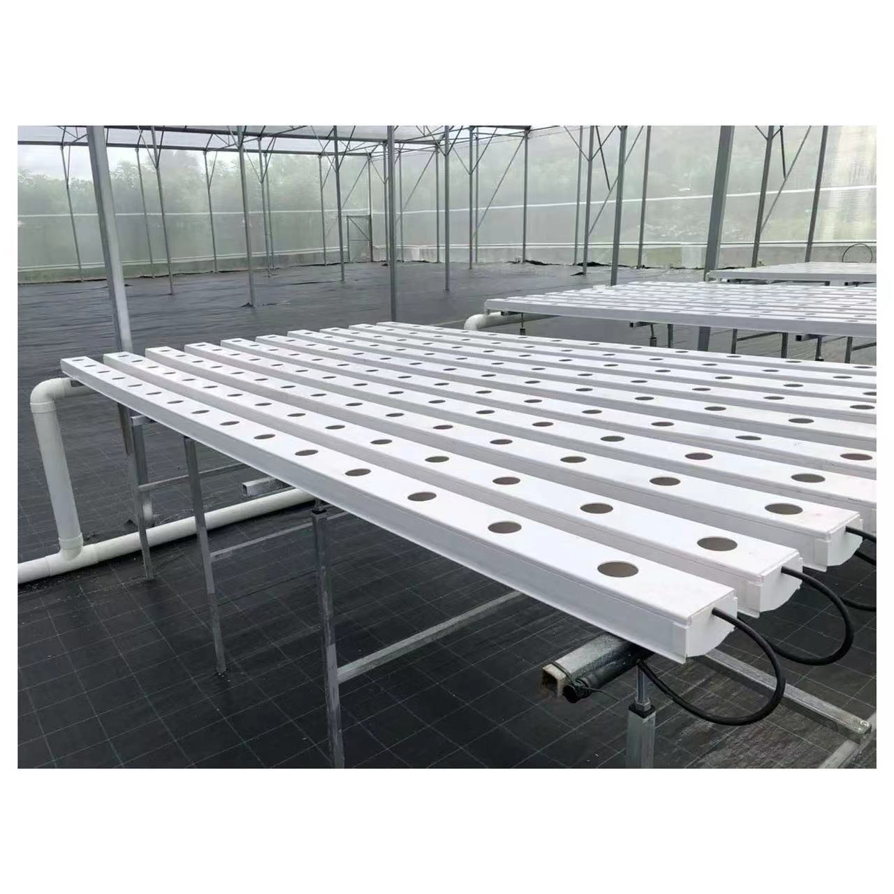 Commercial Automatic Hydroponics Growing System 40ft Shipping Container Pipeline Hydroponic System For Plants