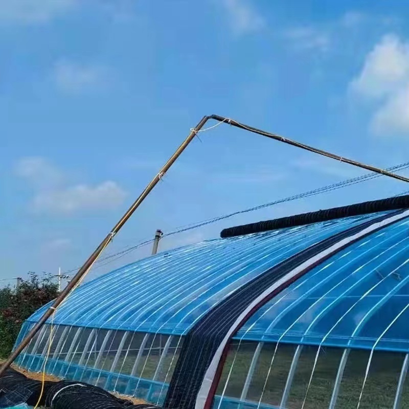 Winter Arch Side Ventilation System Thermal Insulation Greenhouse with High Quality Insulation Blanket