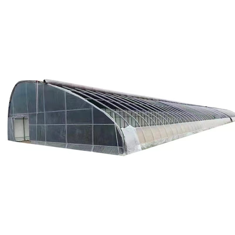 Winter Arch Side Ventilation System Thermal Insulation Greenhouse with High Quality Insulation Blanket