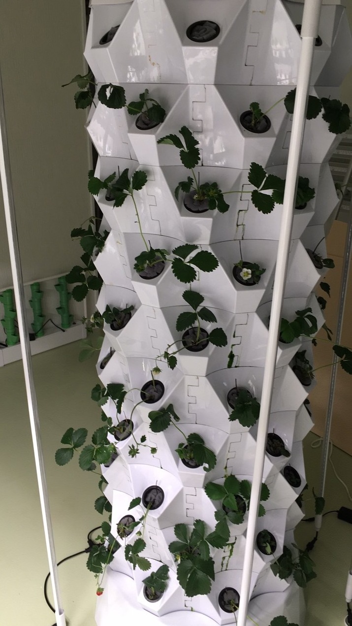 8 Layers High Quality Vertical Hydroponic Pineapple Aeroponic Tower Growing Systems For Strawberry