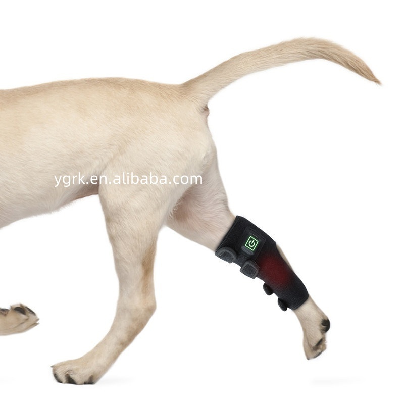 Pet Laser Therapy Device home use dog red light infrared wrap pain therapy 660nm 850nm mat for dog paw