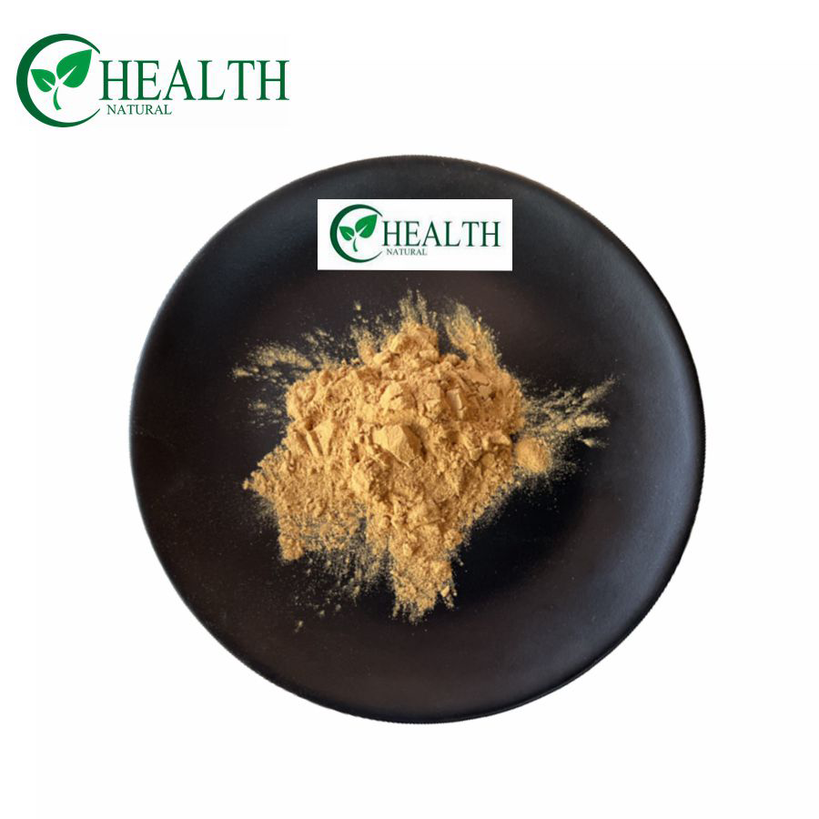 OEM Private Label Top Quality Tea Tree Mushroom Extract Powder Agrocybe Cylindracea Powder