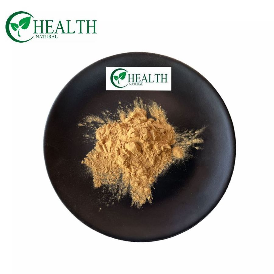 OEM Private Label Top Quality Tea Tree Mushroom Extract Powder Agrocybe Cylindracea Powder