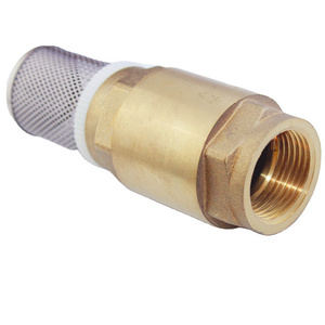 Made in China brass spool brass spring check valve brass swing check valve with screen manufacturer