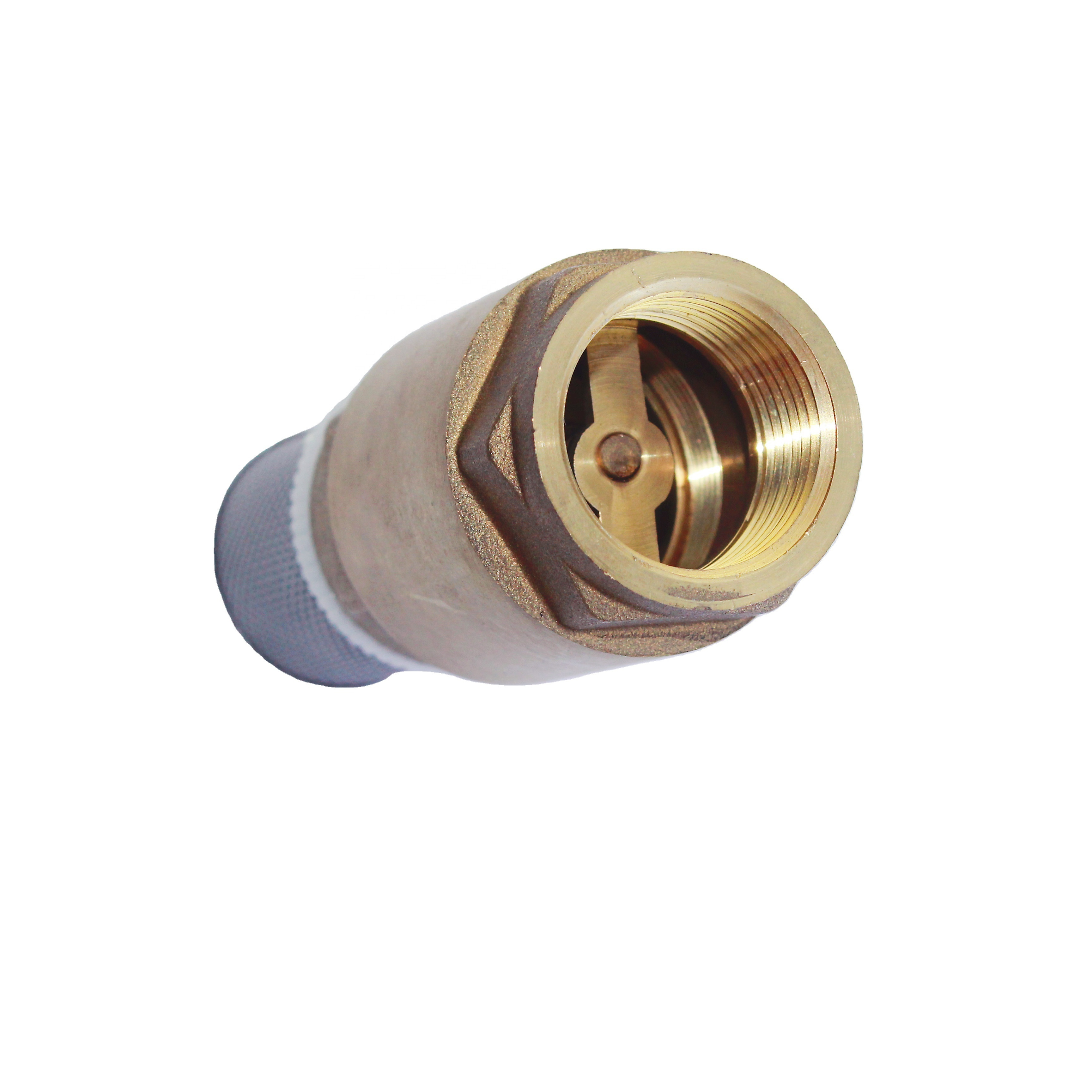 Made in China brass spool brass spring check valve brass swing check valve with screen manufacturer