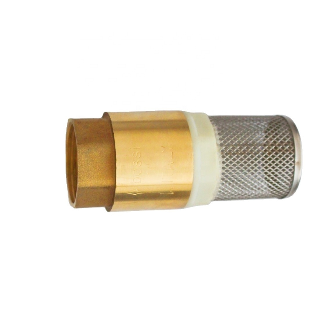 High -quality BSP/NPT Thread Valve body brass belt filtering back valve brass with spring to prevent back flow