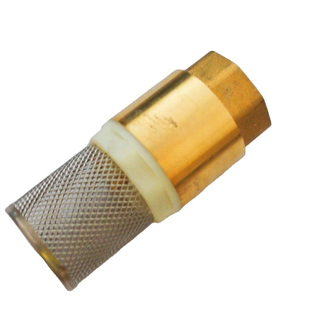 High -quality BSP/NPT Thread Valve body brass belt filtering back valve brass with spring to prevent back flow