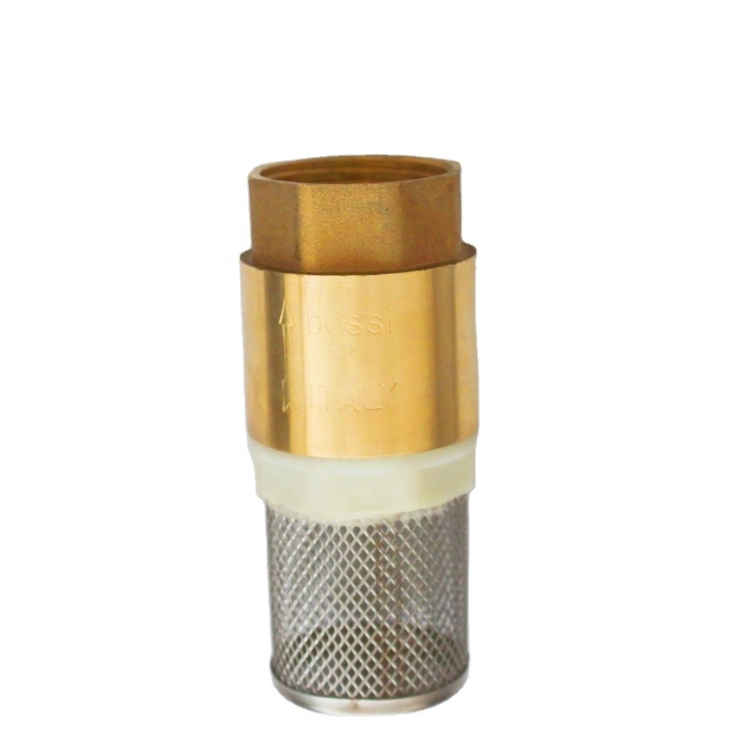 High -quality BSP/NPT Thread Valve body brass belt filtering back valve brass with spring to prevent back flow