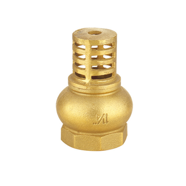 Brass bottom foot spring vertical check valve with SS filter