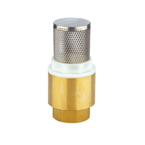 Brass bottom foot spring vertical check valve with SS filter