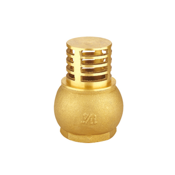 Brass bottom foot spring vertical check valve with SS filter