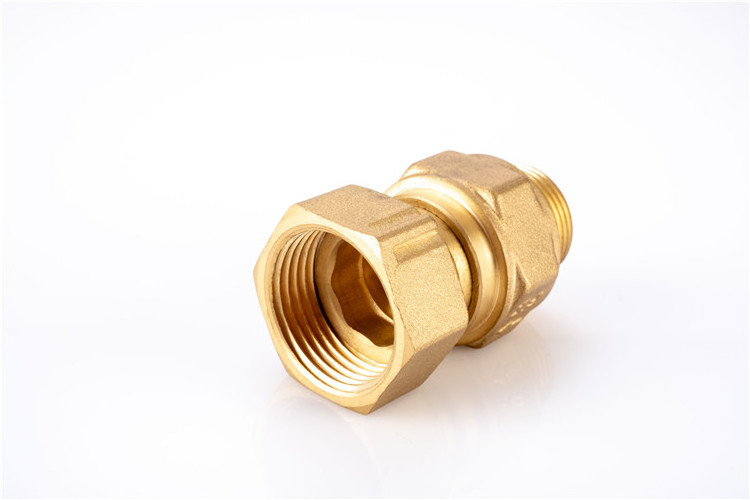 1/2-1inch  BSP thread  brass check valve